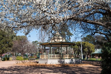 Robertson Park Mudgee