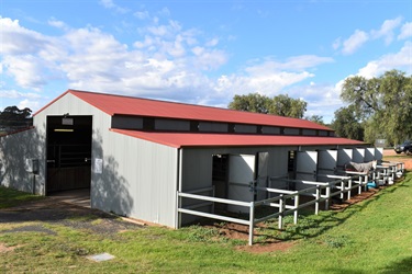 Mudgee Showground