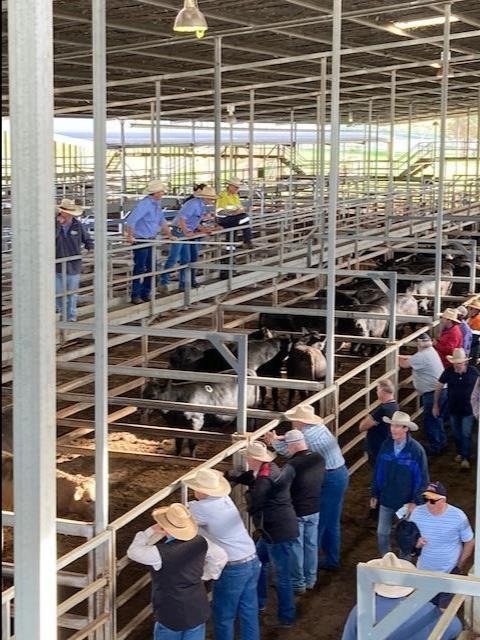 Saleyards