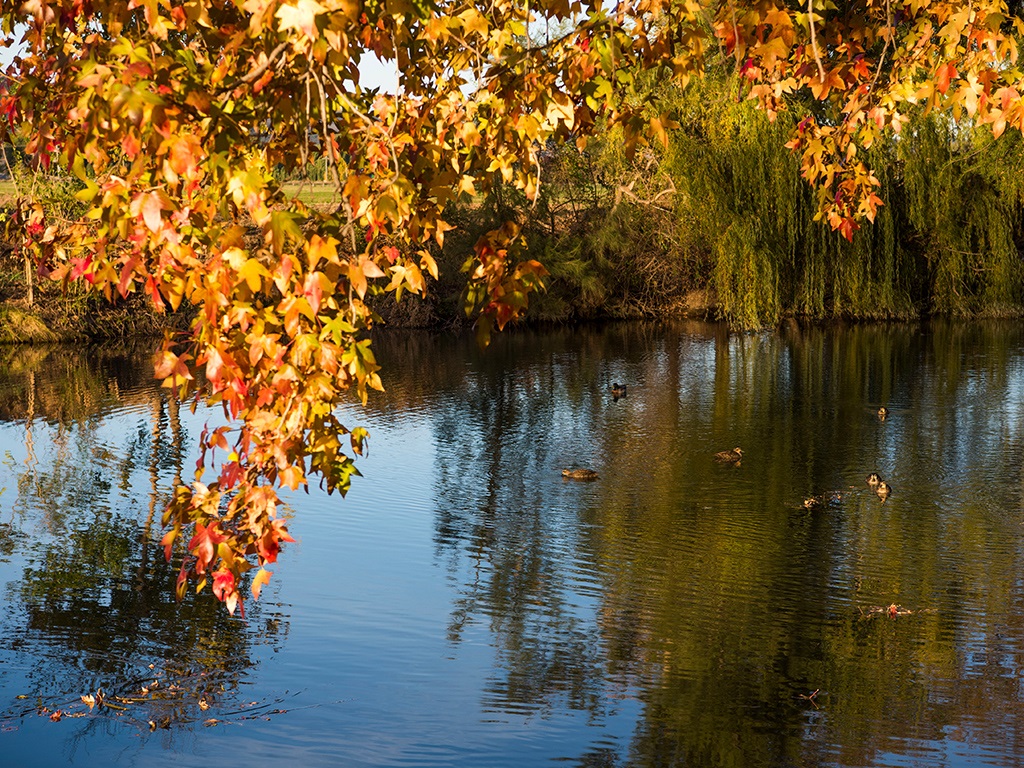 cudgegong-river4.3.jpg