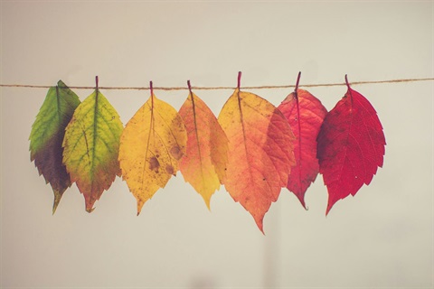AutumnSchoolHolidays2025