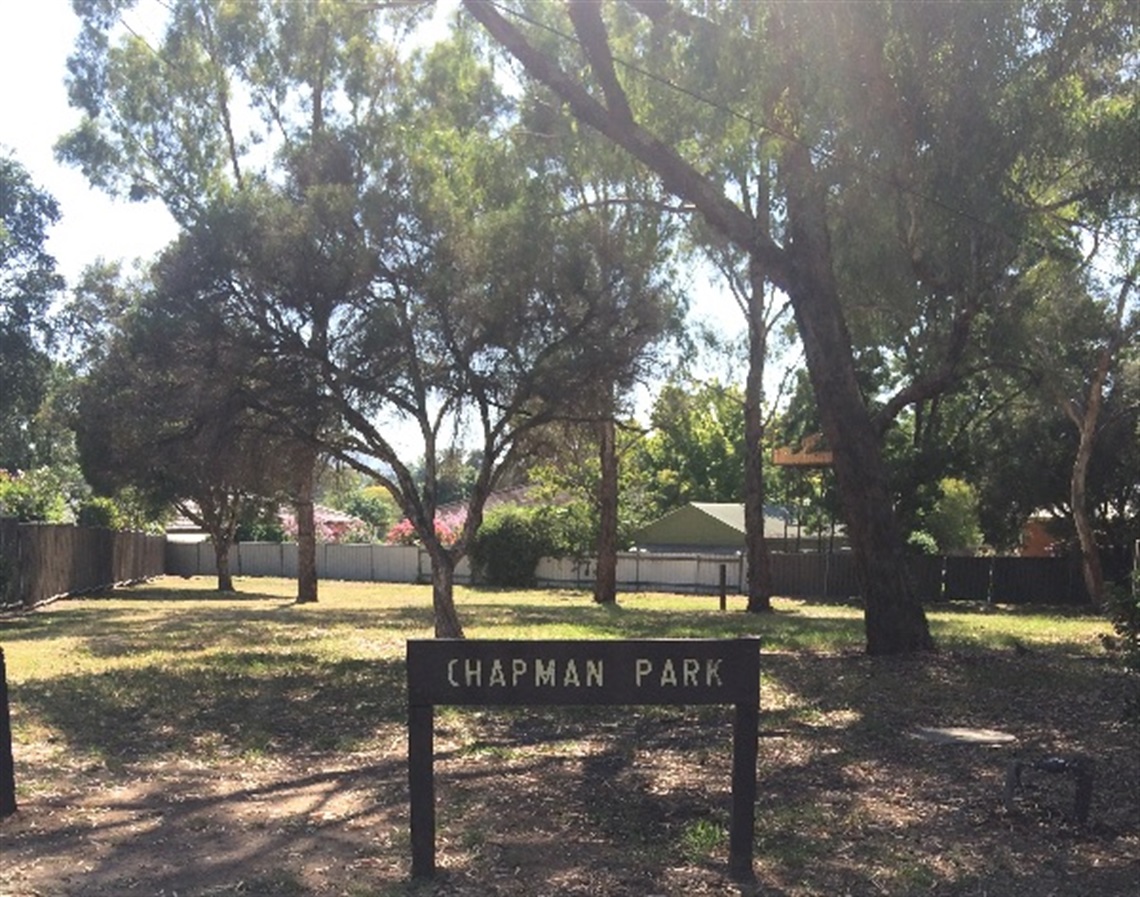 Chapman Park.jpg