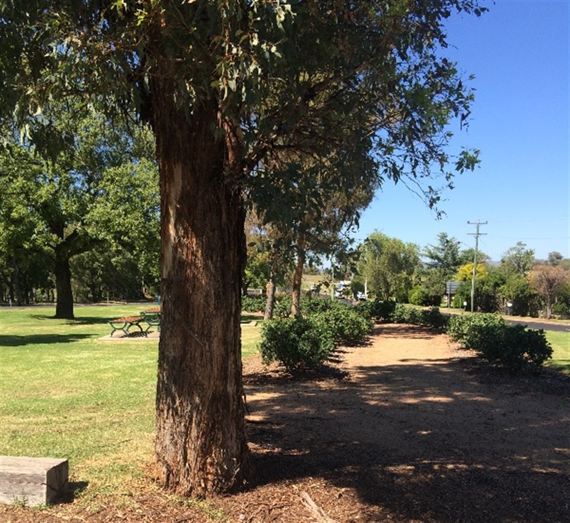 Theresa Lane Park.jpg