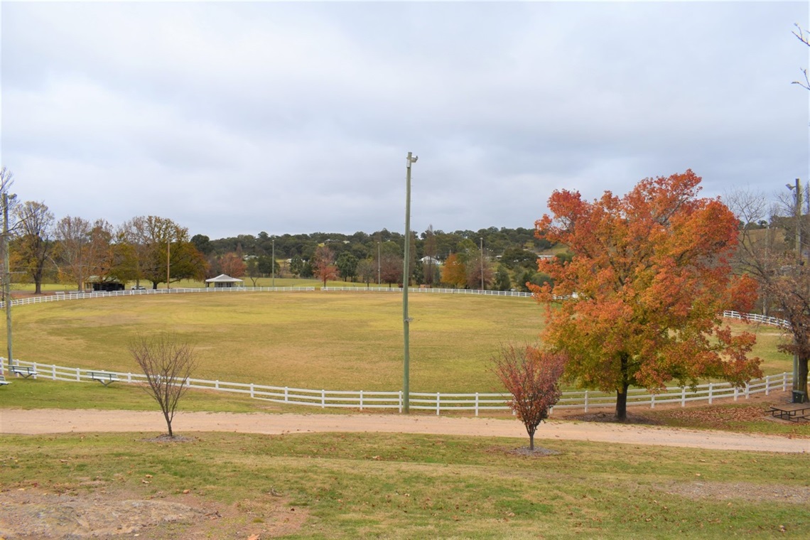 Rylstone Showground.jpg