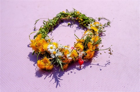 flowers-g1cb71d117_1920.jpg