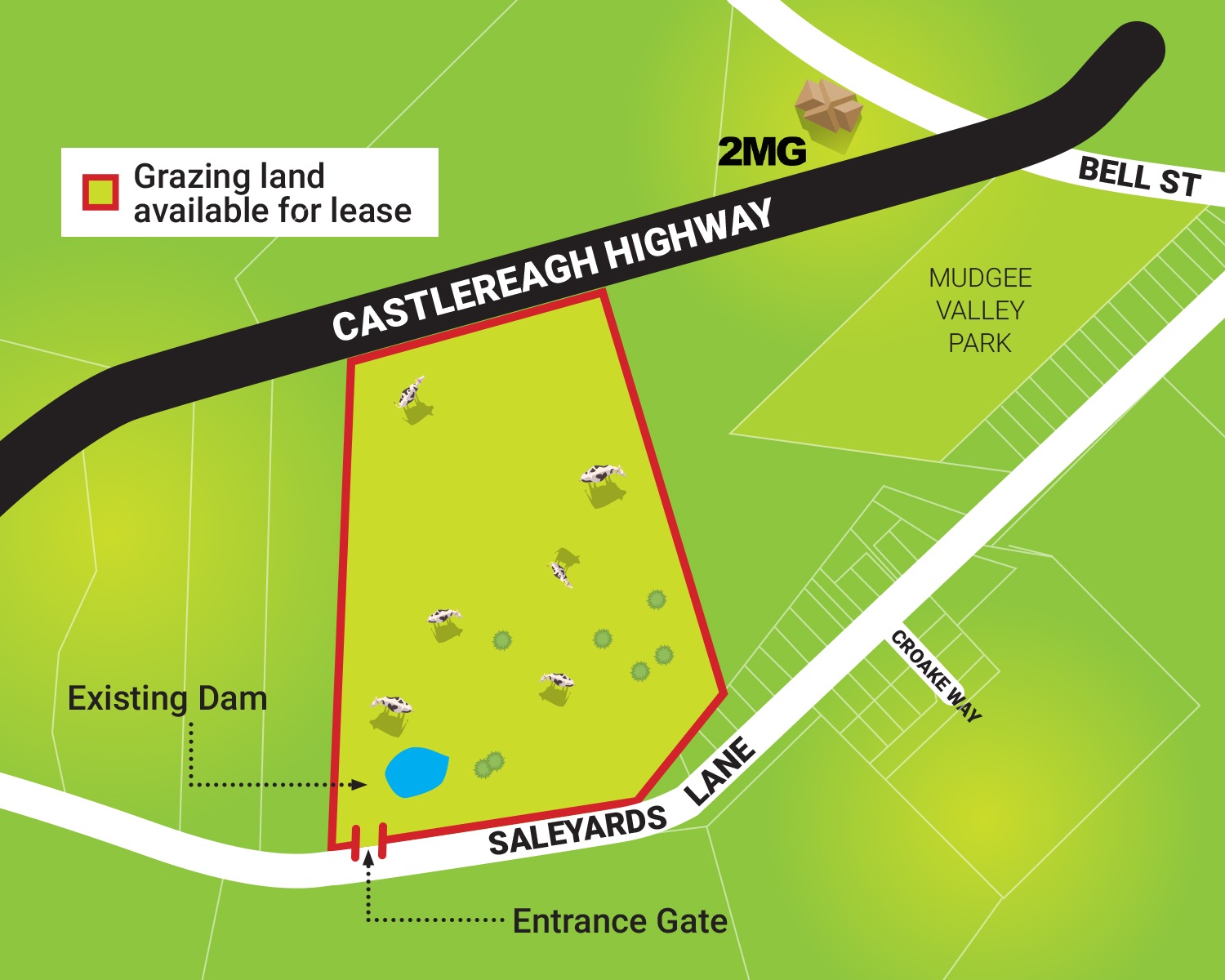 Grazing land for lease - Saleyards Lane 1500pxW.jpg