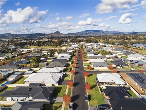 DJI_0077.jpg