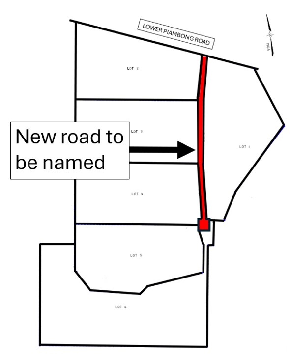 Lower-Piambong-Road-Menah.jpg