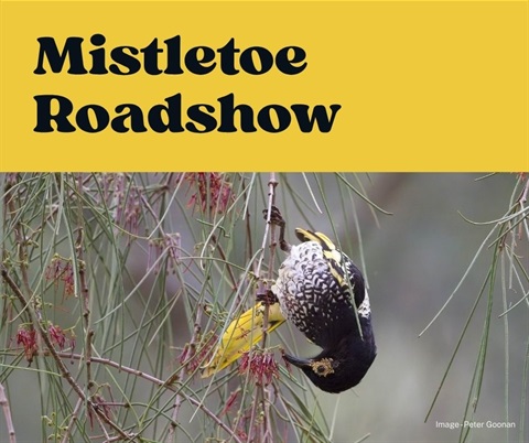 Mistltoe roadshow.jpg