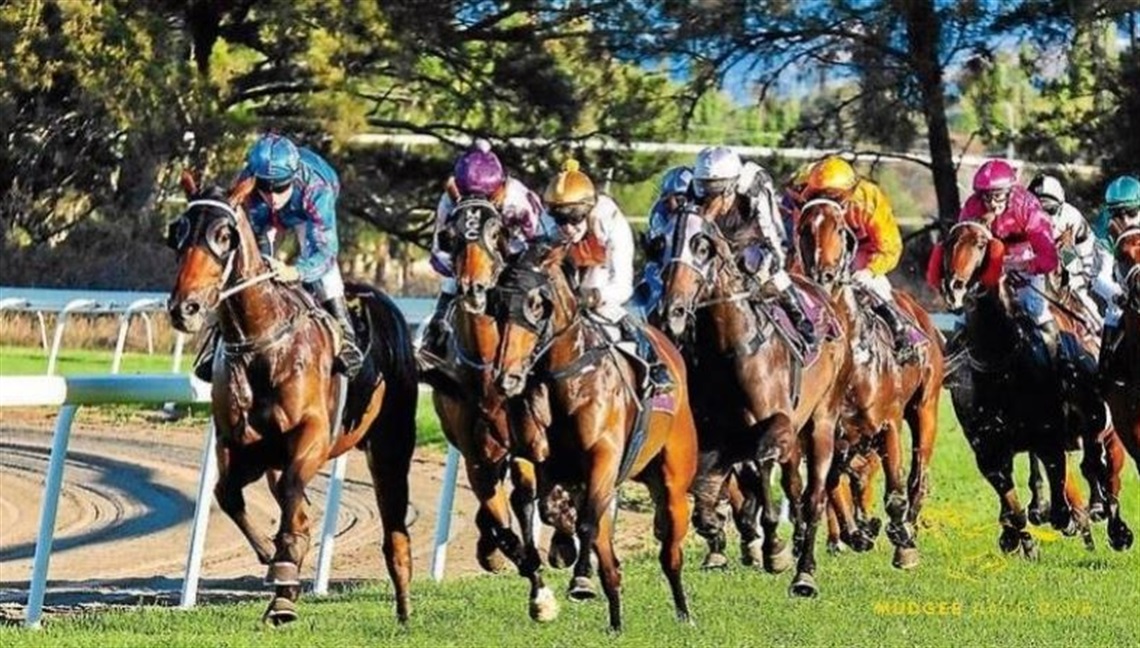 Mudgee April Race Day.JPG