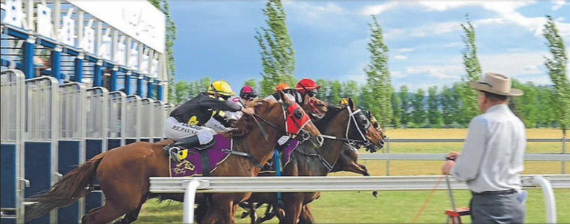 Mudgee Race Club.PNG