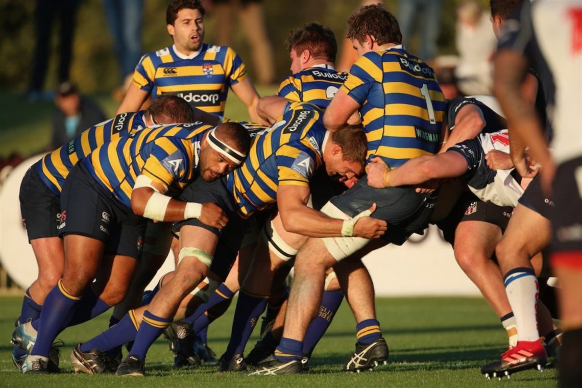 Shute Shield.jpg