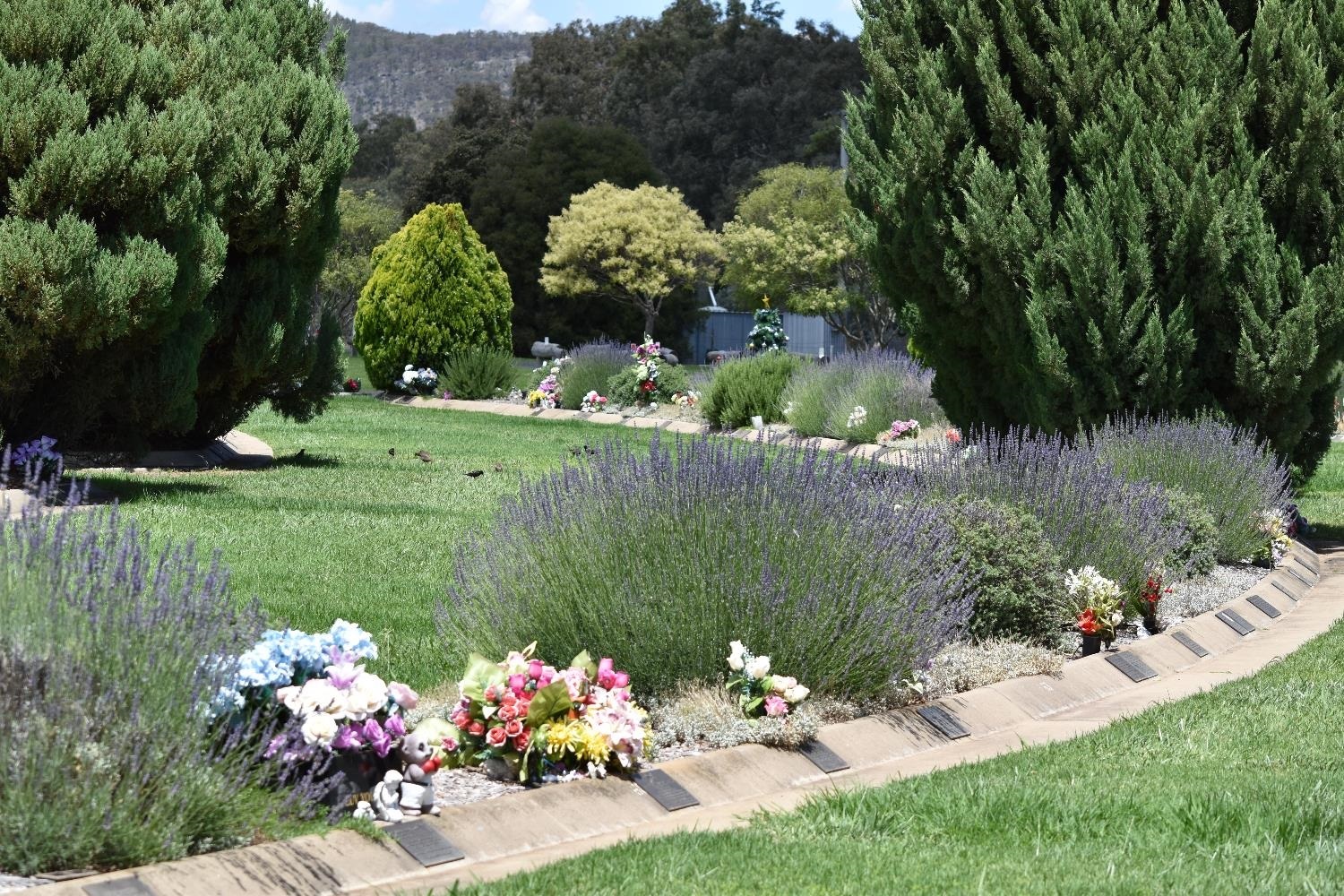 Mudgee Cemetery
