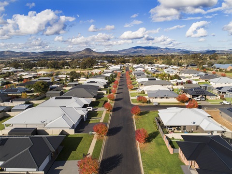 DJI_0081.jpg