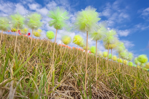 Karen Golland _ The Nature of Things_ Installation detail_2013.jpg